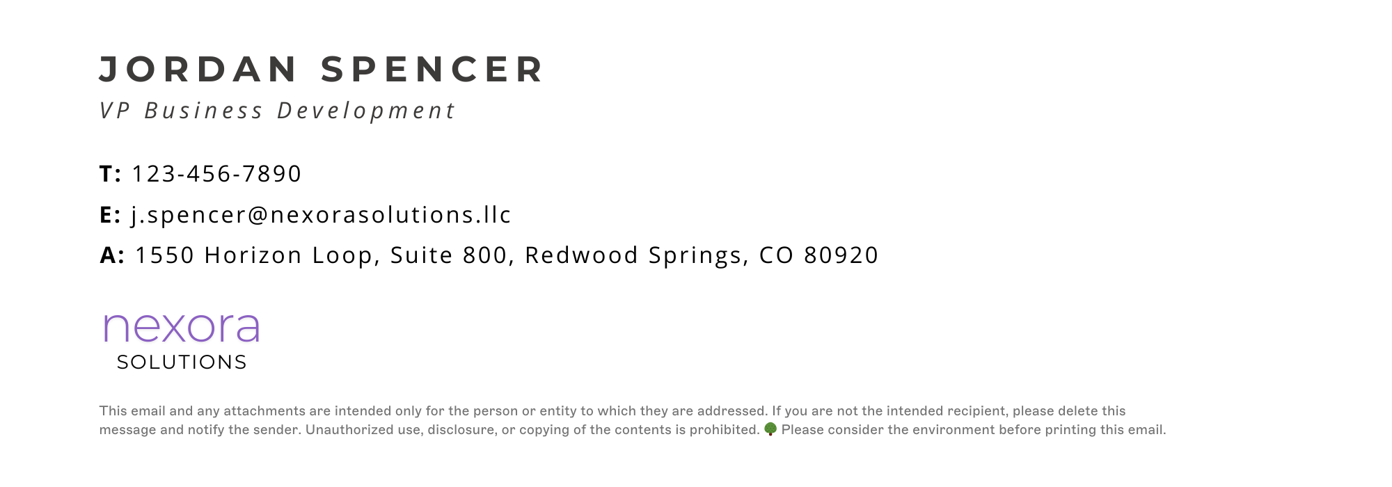 plain text email signature with legal disclaimer